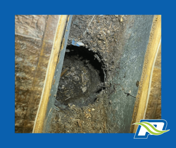 Professional duct cleaning service in West Tennessee home